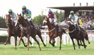 Galopp1
